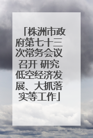 株洲市政府第七十三次常务会议召开 研究低空经济发展、大抓落实等工作